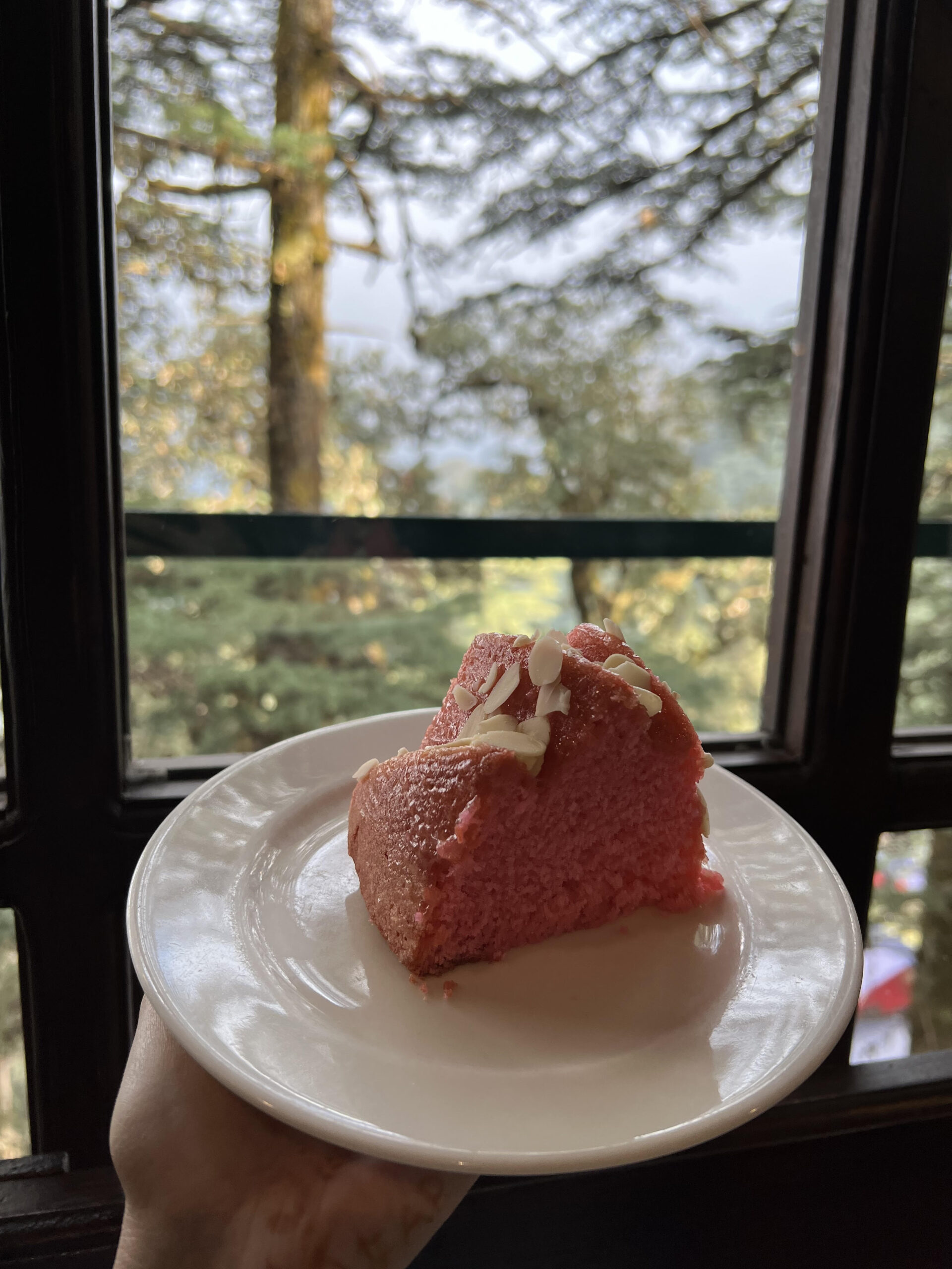 Must Visit Cafes in Mussoorie 